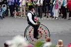 Blumencorso Bild 13