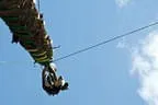 Highlander Games 2011 Bild 14