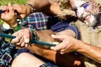 Highlander Games 2011 Bild 54
