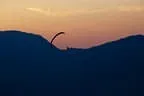Abendflug an der Möselalm Bild 65