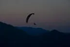 Abendflug an der Möselalm Bild 81