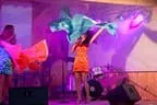 Schlager Festival 2011 Bild 7