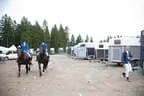 Bundesmeisterschaft Noriker + Haflinger Bild 5