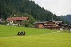 Bundesmeisterschaft Noriker + Haflinger Bild 7
