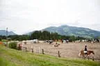 Bundesmeisterschaft Noriker + Haflinger Bild 8