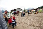 Bundesmeisterschaft Noriker + Haflinger Bild 12