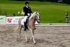 Bundesmeisterschaft Noriker + Haflinger Bild 17
