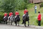Bundesmeisterschaft Noriker + Haflinger Bild 23