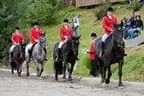 Bundesmeisterschaft Noriker + Haflinger Bild 24