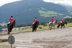 Bundesmeisterschaft Noriker + Haflinger Bild 29