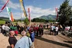 Bundesmeisterschaft Noriker + Haflinger Bild 44