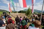 Bundesmeisterschaft Noriker + Haflinger Bild 45