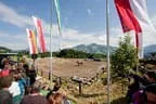Bundesmeisterschaft Noriker + Haflinger Bild 46