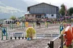 Bundesmeisterschaft Noriker + Haflinger Bild 48