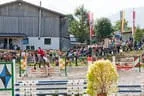 Bundesmeisterschaft Noriker + Haflinger Bild 50