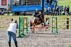 Bundesmeisterschaft Noriker + Haflinger Bild 55