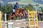 Bundesmeisterschaft Noriker + Haflinger Bild 64