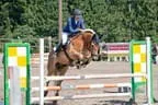 Bundesmeisterschaft Noriker + Haflinger Bild 65