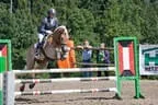 Bundesmeisterschaft Noriker + Haflinger Bild 67