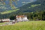 Bundesmeisterschaft Noriker + Haflinger Bild 70