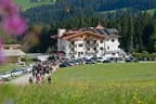 Bundesmeisterschaft Noriker + Haflinger Bild 72