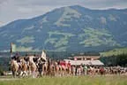 Bundesmeisterschaft Noriker + Haflinger Bild 77