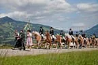 Bundesmeisterschaft Noriker + Haflinger Bild 85