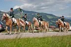 Bundesmeisterschaft Noriker + Haflinger Bild 89