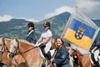 Bundesmeisterschaft Noriker + Haflinger Bild 95