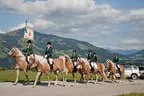 Bundesmeisterschaft Noriker + Haflinger Bild 96