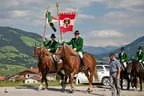 Bundesmeisterschaft Noriker + Haflinger Bild 99