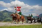 Bundesmeisterschaft Noriker + Haflinger Bild 100