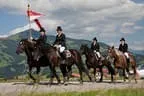 Bundesmeisterschaft Noriker + Haflinger Bild 103
