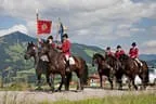 Bundesmeisterschaft Noriker + Haflinger Bild 104
