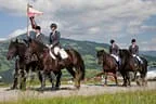 Bundesmeisterschaft Noriker + Haflinger Bild 106