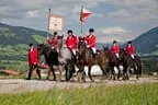 Bundesmeisterschaft Noriker + Haflinger Bild 109