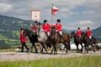 Bundesmeisterschaft Noriker + Haflinger Bild 110