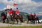 Bundesmeisterschaft Noriker + Haflinger Bild 111