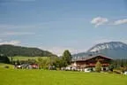 Bundesmeisterschaft Noriker + Haflinger Bild 113