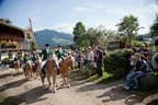 Bundesmeisterschaft Noriker + Haflinger Bild 116