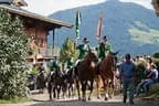 Bundesmeisterschaft Noriker + Haflinger Bild 119