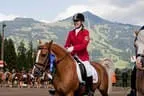 Bundesmeisterschaft Noriker + Haflinger Bild 136