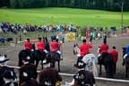 Bundesmeisterschaft Noriker + Haflinger Bild 140
