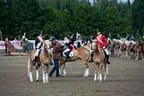 Bundesmeisterschaft Noriker + Haflinger Bild 143