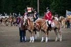Bundesmeisterschaft Noriker + Haflinger Bild 145