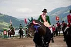 Bundesmeisterschaft Noriker + Haflinger Bild 152
