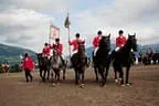 Bundesmeisterschaft Noriker + Haflinger Bild 159