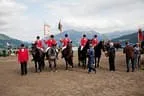 Bundesmeisterschaft Noriker + Haflinger Bild 160