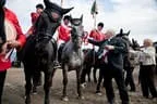 Bundesmeisterschaft Noriker + Haflinger Bild 166