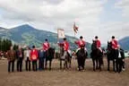 Bundesmeisterschaft Noriker + Haflinger Bild 173
